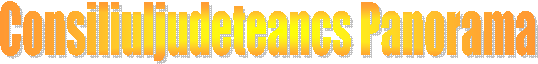 Consiliuljudeteancs Panorama