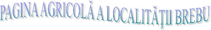 PAGINA AGRICOLĂ A LOCALITĂŢII BREBU