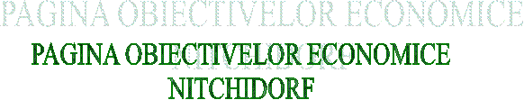 PAGINA OBIECTIVELOR ECONOMICE
NITCHIDORF
