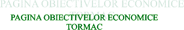 PAGINA OBIECTIVELOR ECONOMICE
TORMAC