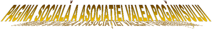 PAGINA SOCIALĂ A ASOCIAȚIEI VALEA POGĂNIȘULUI